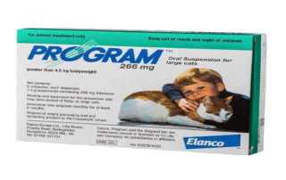 Cat Tick and Flea Control