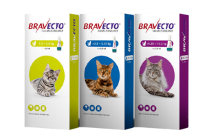 Cat Tick and Flea Control