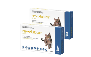 Cat Tick and Flea Control