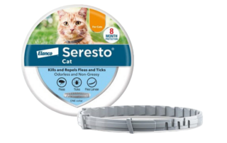 Cat Tick and Flea Control