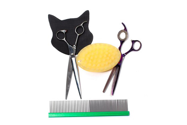 Cat nail trimming scissor Cat nail trimming scissor