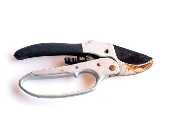 Cat Nail Trimming Pliers Cat Nail Trimming Pliers